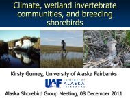 Climate, wetland invertebrate communities, and breeding shorebirds