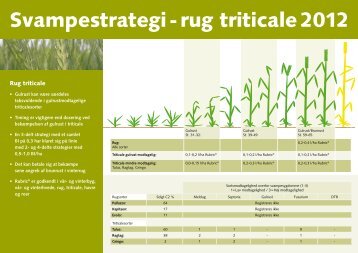 Svampestrategi - rug triticale 2012 - Cheminova