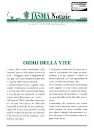 Download IASMA NOTIZIE VITICOLTURA n. 7 - Fondazione ...