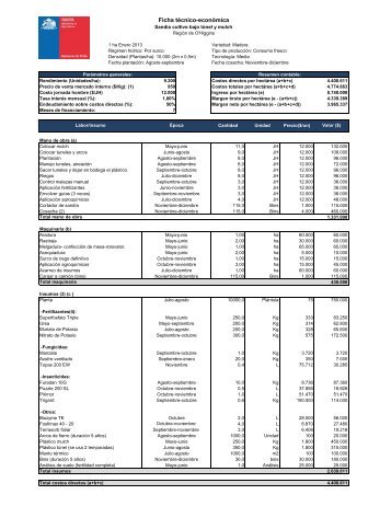 Ficha técnico-económica - Odepa