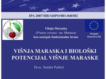 02 Višnja maraska i biološki potencijal višnje maraske - ipa-marasca