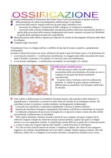 Tessuto osseo.pdf - Etsrm