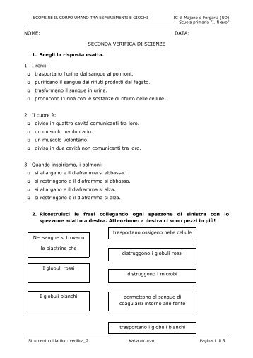 corpoumano_verifica2 - Istituto Comprensivo di Majano e Forgaria