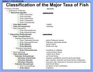 Classification of the Major Taxa of Fish
