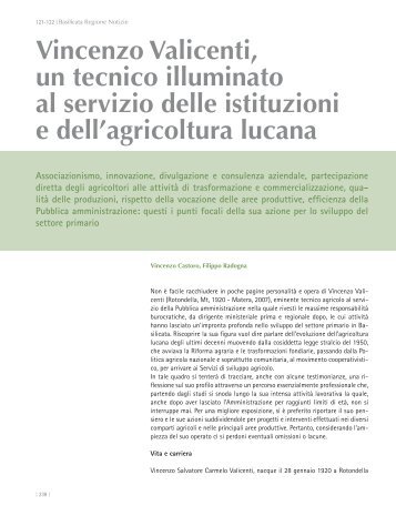 Vincenzo Valicenti, un tecnico illuminato al servizio delle istituzioni e ...