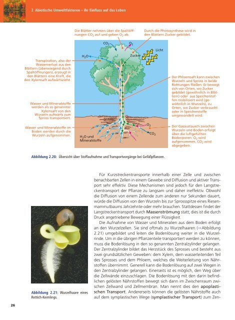 Ökologie - Biologie für die Oberstufe 