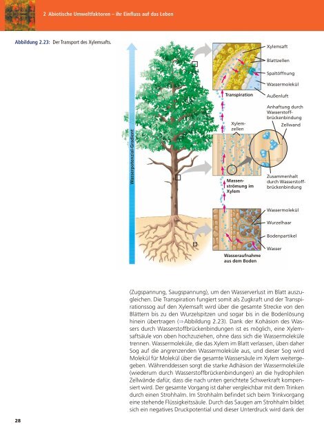 Ökologie - Biologie für die Oberstufe 