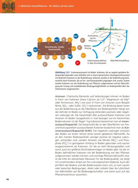 Ökologie - Biologie für die Oberstufe 