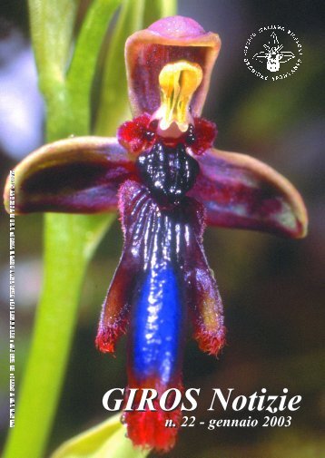 Croce - GIROS - Gruppo Italiano per la Ricerca sulle Orchidee ...