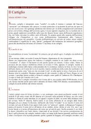 Il Cartiglio - Egittologia.net