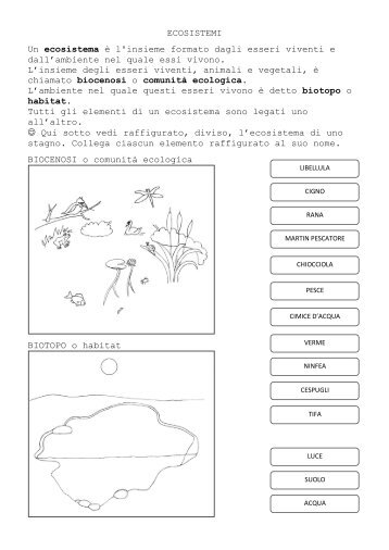 ECOSISTEMI Un ecosistema è l'insieme formato ... - La Teca Didattica