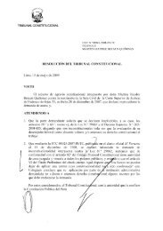 maritza haydee beraun quiñones - Tribunal Constitucional del Perú