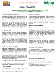 NOGAL PECANERO.pdf - UTEP
