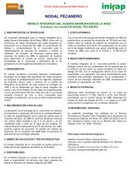 Engorda De Vacas Flacas En Pradera Pdf Utep