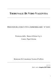 TRIBUNALE DI VIBO VALENTIA - Aste