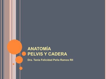 ANATOMÍA PELVIS Y CADERA