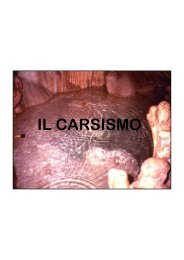 IL CARSISMO - Istituto Pontano