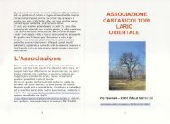 Pieghevole - Associazione castanicoltori del Lario Orientale