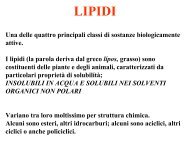 LIPIDI