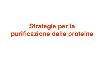 Principi per la purificazione delle proteine - Università degli Studi di ...