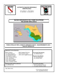 Relazione Idrologica Solofrone.pdf - autorità di Bacino regionale ...