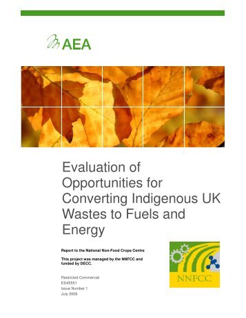 to read the full report - Ecolateral by Peter Jones