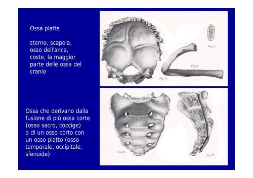 2012 osteoartromiologia 1 - I blog di Unica