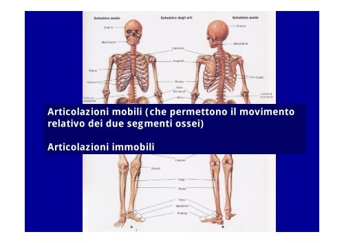 2012 osteoartromiologia 1 - I blog di Unica