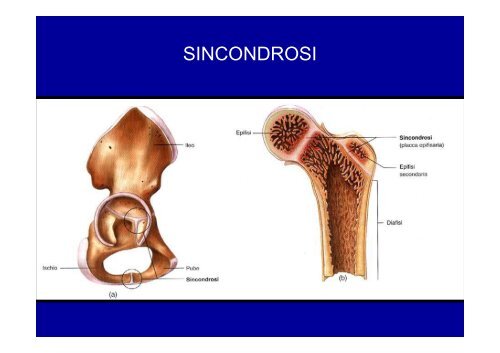 2012 osteoartromiologia 1 - I blog di Unica