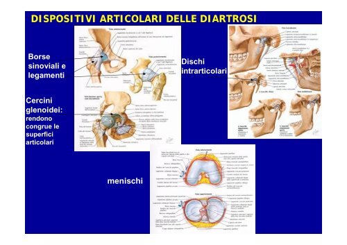 2012 osteoartromiologia 1 - I blog di Unica