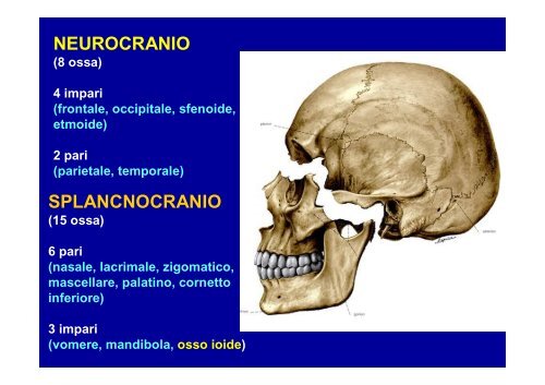 2012 osteoartromiologia 1 - I blog di Unica