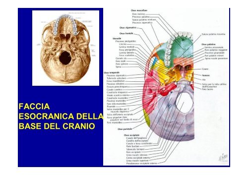 2012 osteoartromiologia 1 - I blog di Unica