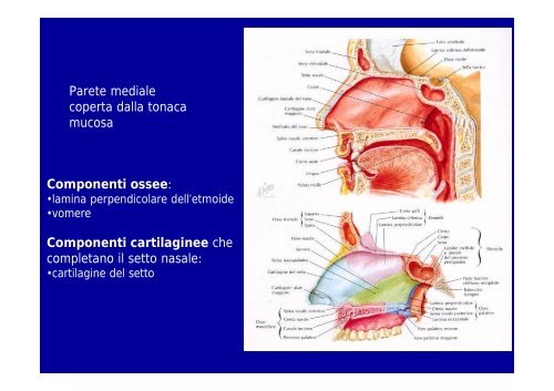 2012 osteoartromiologia 1 - I blog di Unica