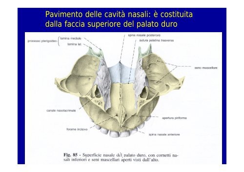 2012 osteoartromiologia 1 - I blog di Unica