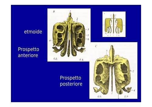 2012 osteoartromiologia 1 - I blog di Unica