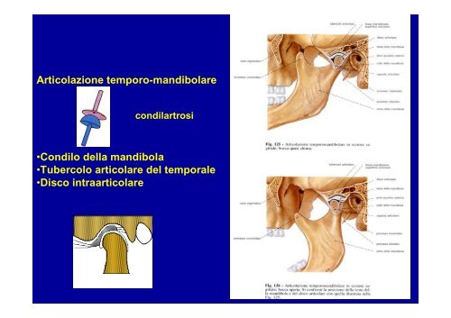 2012 osteoartromiologia 1 - I blog di Unica