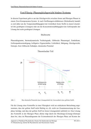 Fest/Flüssig-Phasengleichgewicht binärer Systeme