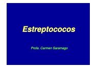 Estreptococos - Unirio