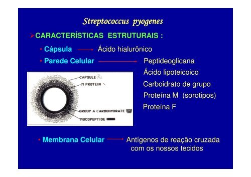 Estreptococos - Unirio
