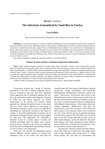 The infections transmitted by Sand flies in Turkey