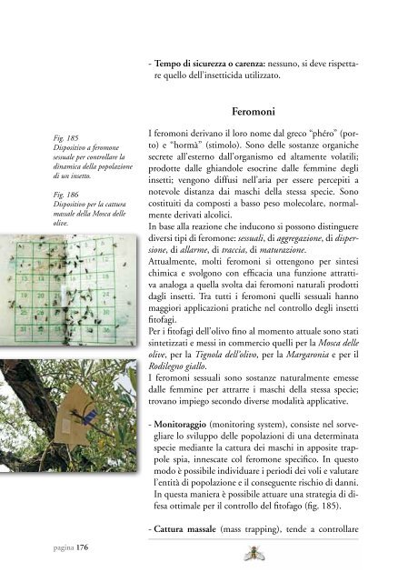 Il controllo fitosanitario dell'olivo da mensa e da olio in Sicilia