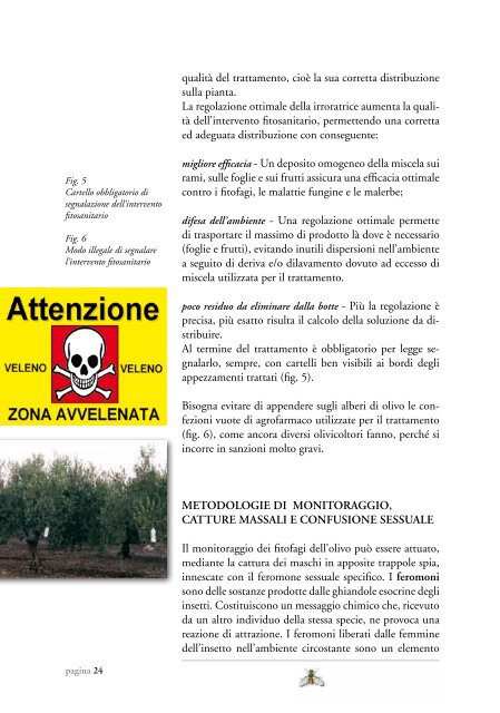 Il controllo fitosanitario dell'olivo da mensa e da olio in Sicilia