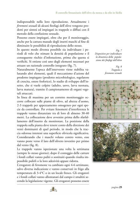 Il controllo fitosanitario dell'olivo da mensa e da olio in Sicilia