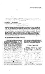 Características morfológicas y fisiológicas de hongos patógenos en ...