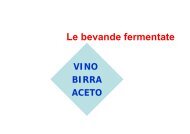 Le bevande fermentate