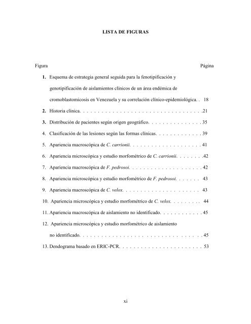 Download (2337Kb) - Universidad Autónoma de Nuevo León