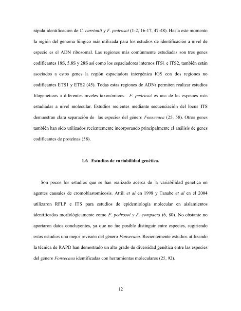 Download (2337Kb) - Universidad Autónoma de Nuevo León