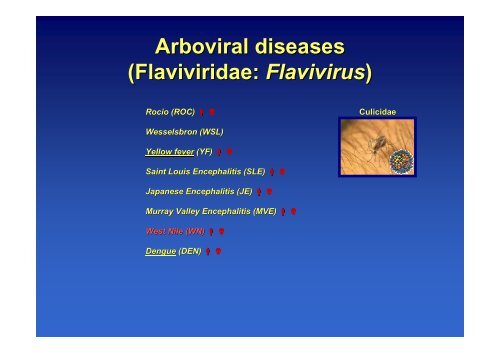 An overview of emerging mosquito borne diseases, globalization ...