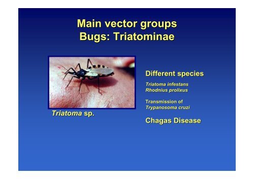 An overview of emerging mosquito borne diseases, globalization ...