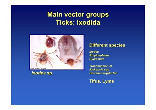 An overview of emerging mosquito borne diseases, globalization ...